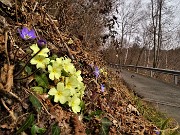 29 Sulla stradetta asfaltata da Ca Boffelli per  Bocchetta del Ronco